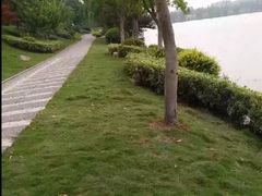 -羊山湖公园