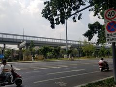 -神仙树公园