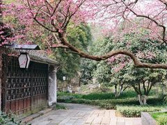 -乌镇景区