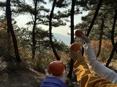 -太和山风景区
