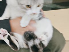 -瑞鹏宠物医院·超声·骨科·奇麟分院(蜀都万达店)