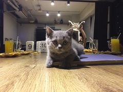 -第三空间·趣味桌游·轰趴.室内CS.剧本杀(大武汉1911店)