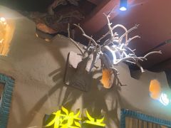 -驿楼兰·新疆菜(火车站店)