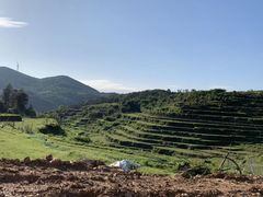 -大姆山草场