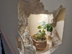 -GODIVA(万象城店)