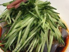 东北拉皮-津菜宋记老房子(平山道店)