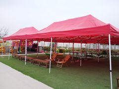 -小鱼草莓采摘园农家乐·小鱼餐厅