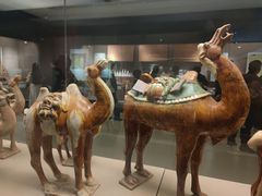 -西安大唐西市博物馆