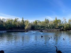 -溱湖国家湿地公园