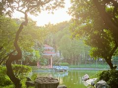 -黄埔荔枝公园