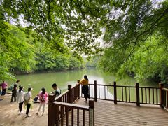-青龙山国家森林公园
