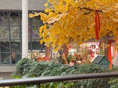 -阿大排档(长春这有山店)