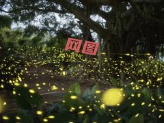 -西涌国际滨海旅游区