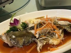 -刘胖子家常菜·蹄花焖藕(兴业店)