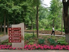 -石家庄市植物园