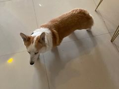 -平行世界·猫咖(首经贸店)