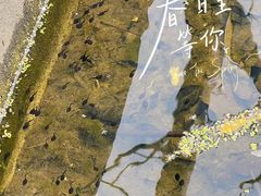 -宁波杭州湾国家湿地公园