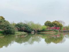 -圩墩遗址公园