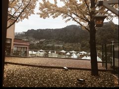 -重庆南山海昌汤都
