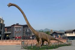 -恐龙探索乐园(磁器口店)