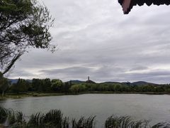 -北坞公园
