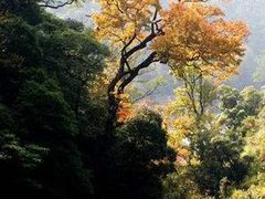 -木兰云雾山