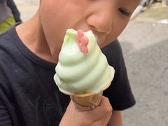 -品泉茶室