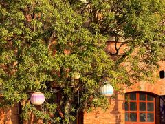 -中国船政文化博物馆