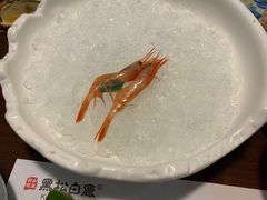 -黑松白鹿(崇文门新活馆店)