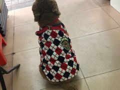 -熊仔屋(吉祥苑小区店)