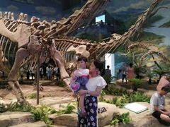-自贡恐龙博物馆