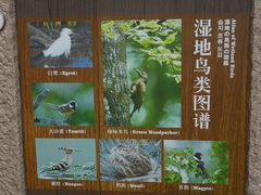 -梁鸿国家湿地公园