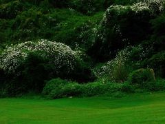 -鸿山公园