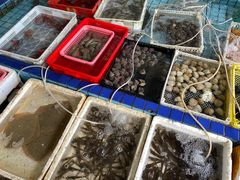 水产区-霞涌市场海鲜摆卖区