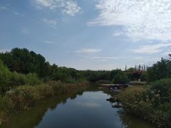 -上海长兴岛郊野公园