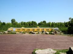 -泗洪洪泽湖湿地景区