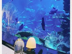 -迪拜帆船酒店海底餐厅