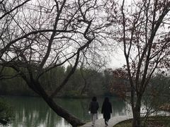 -西溪国家湿地公园