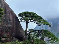 -黄山风景区
