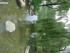 -石家庄市植物园