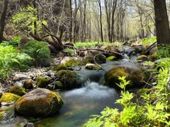 -玉渡山自然风景区