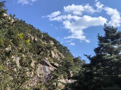 -无染寺