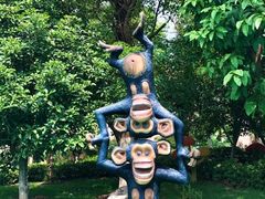 -苏州乐园森林水世界