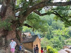 -杨家堂村
