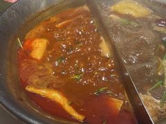 -九鼎轩脆毛肚火锅(三钢里店)