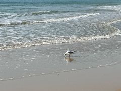 -海云台海滩