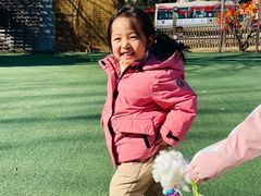 -北京梧桐树双语幼儿园