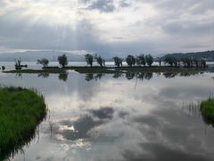 -洱海月湿地公园