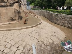 -哈尔滨北方森林动物园