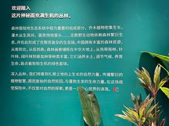 -福州海峡文化艺术中心